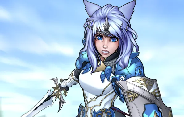 Picture look, girl, sword, anime, art, shield, ears, ears