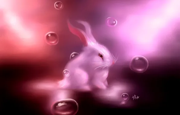 White, bubbles, pink, hare, rabbit, art, Bunny