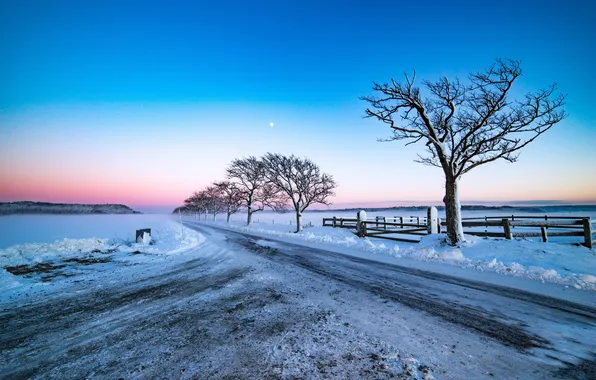 Road, the sky, trees, nature, the evening