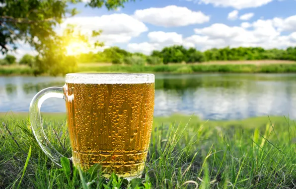 Picture greens, summer, grass, the sun, trees, beer, mug, river