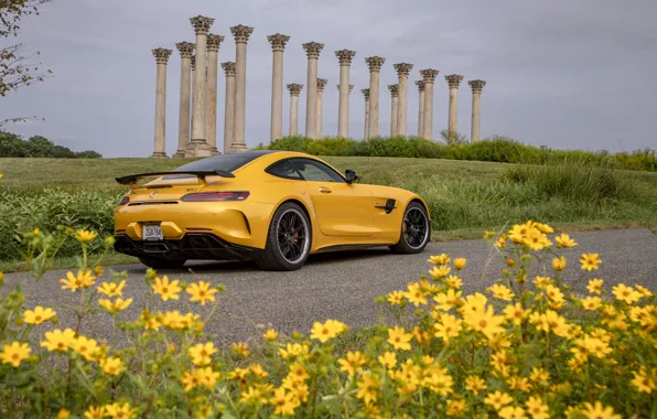 Mercedes-Benz, rear view, AMG, GT R, 2020