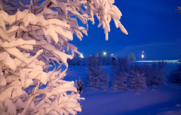 Winter, snow, trees, night, Park