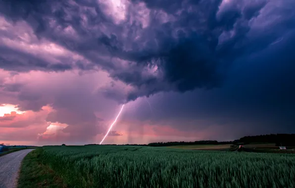 Picture road, the storm, field, clouds