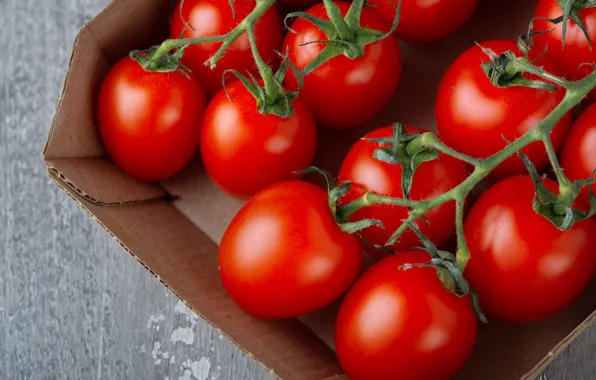 Macro, box, red, tomatoes, on the branch, tomatoes