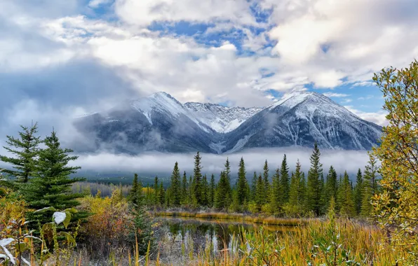 Picture landscape, mountains, nature, beauty