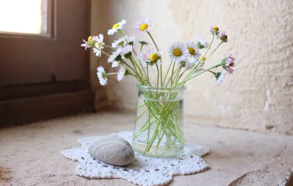 Flowers, vase, stone, Daisy