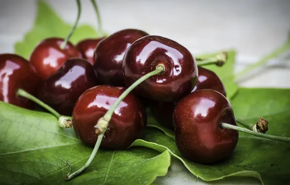 Picture leaves, berries, cherry
