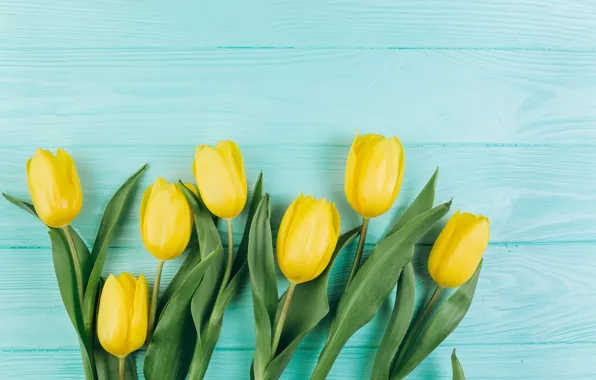 Flowers, yellow, tulips, fresh, yellow, wood, flowers, beautiful