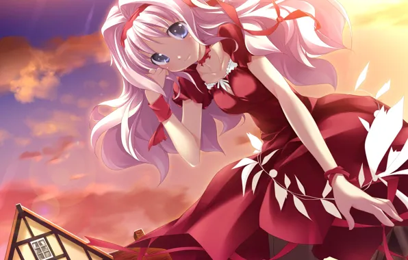 Picture girls, acg, Fuli