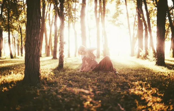 Picture forest, girl, light, mood