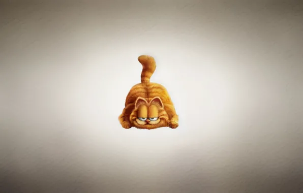 Picture cat, red, light background, Garfield, Garfield, chubby, a cunning face