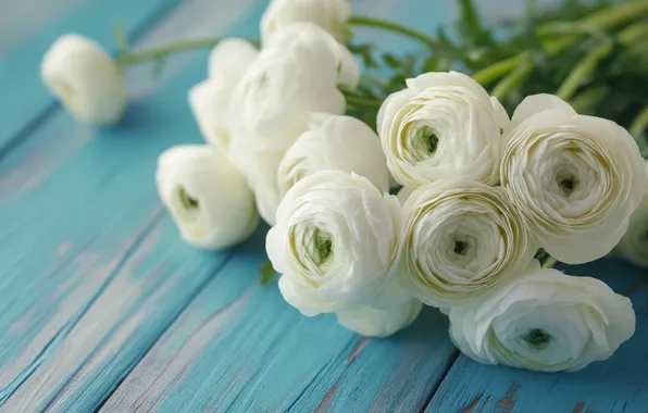 Flowers, Board, bouquet, white, blue background, Ranunculus, AI art, neural network