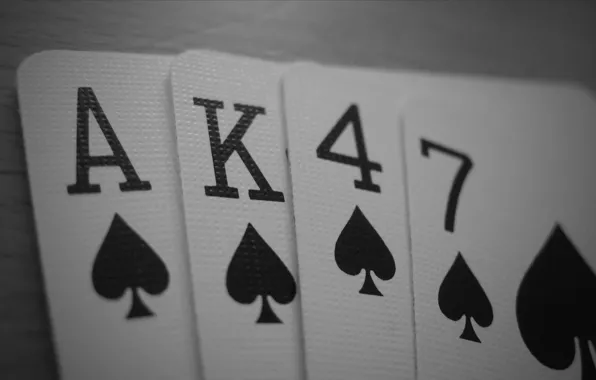 Card, poker, flash