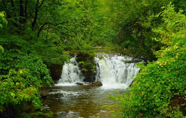 Picture Nature, Waterfall, Trees, Nature, Waterfall, Trees