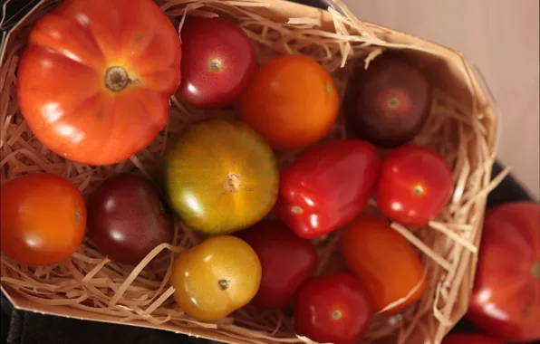 Basket, Tomatoes, Tomatoes