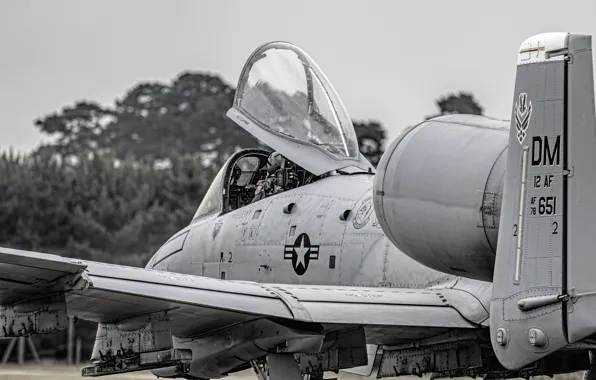 Picture attack, A-10, Thunderbolt II, The thunderbolt II