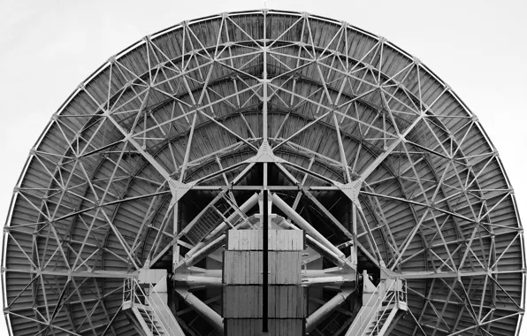 Ladder, Grey, Attachment, Antena