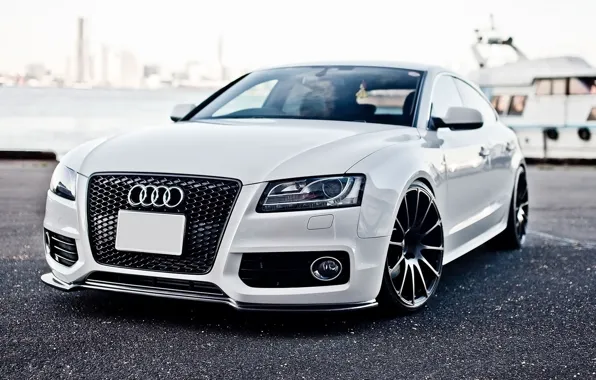 Audi, audi, white, tuning, the front