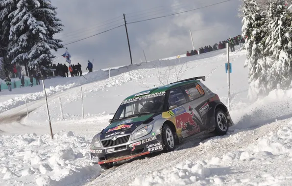 Winter, Snow, Sport, People, Race, Rally, Rally, The front