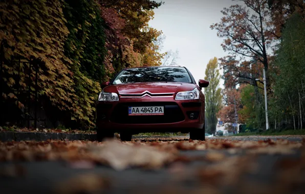 Picture machine, autumn, leaves, Citroen, Citroen, Car, car, France