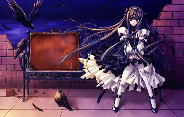 Girl, bench, brick, feathers, suitcase, crow