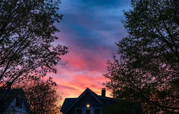 The sky, trees, sunset, home, the evening