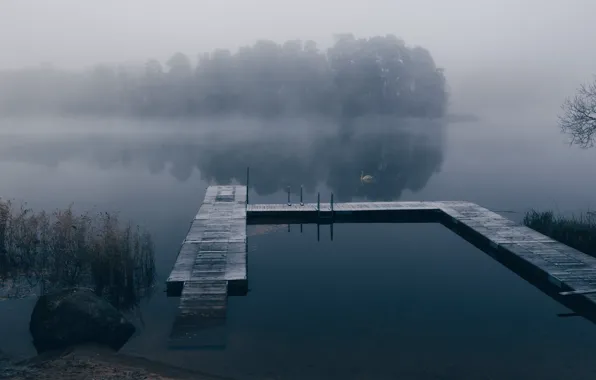 Fog, lake, pier, Swan