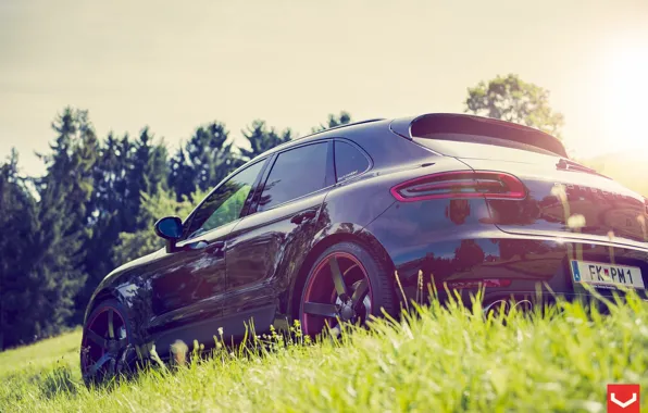 Nature, auto, Porsche Macan on CV3