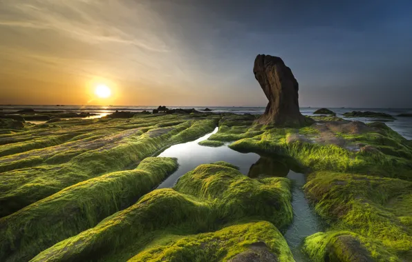 Sunset, Nature, Sea, Shore, Stones, Algae