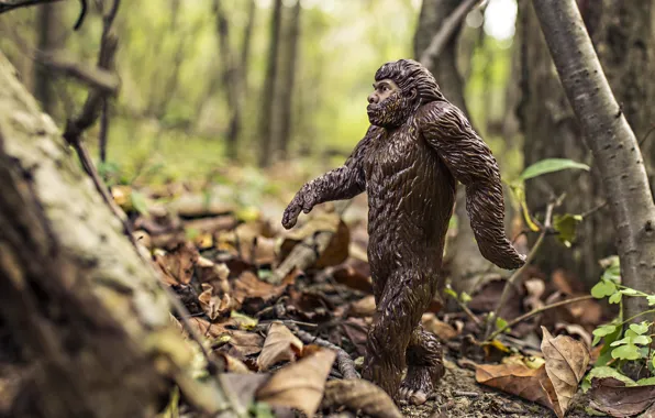 Picture forest, foliage, toy, figure, Yeti, Bigfoot, Bigfoot