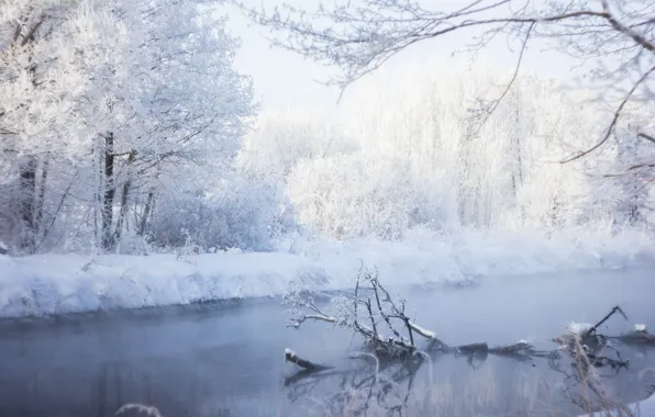Winter, river, frost