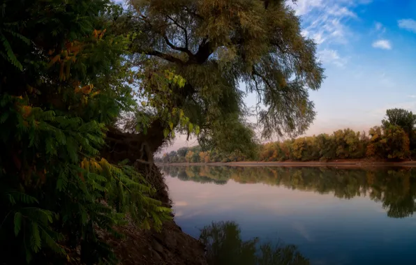 Autumn, landscape, branches, nature, river, tree, the evening, Alexander Plekhanov