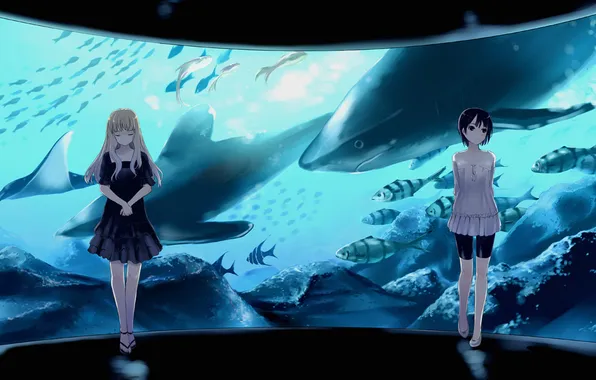 Girls, aquarium, anime, Okinawa
