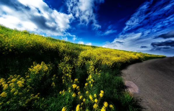 Road, summer, the sky