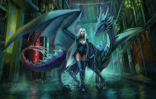 Picture girl, rain, dragon, elf