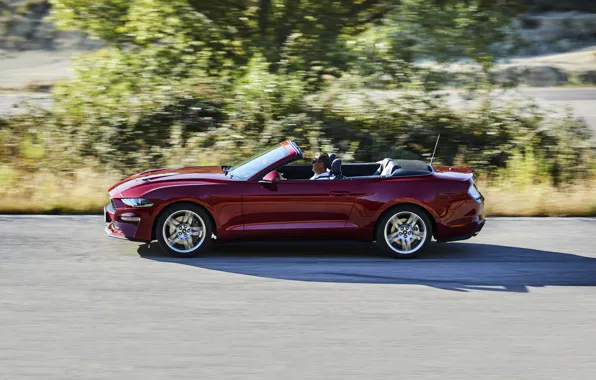 Picture movement, vegetation, Ford, convertible, 2018, dark red, Mustang Convertible