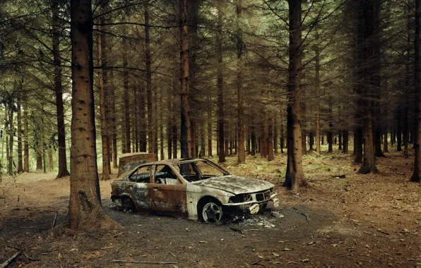Forest, fire, BMW, the skeleton, car