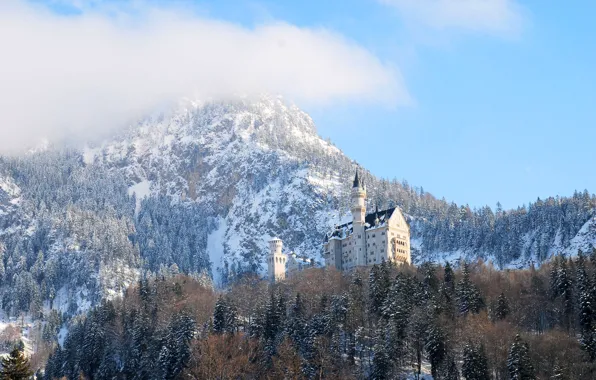 Picture winter, forest, the sky, clouds, snow, trees, mountains, castle