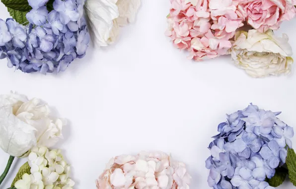 Flowers, background, blue, pink, flowers