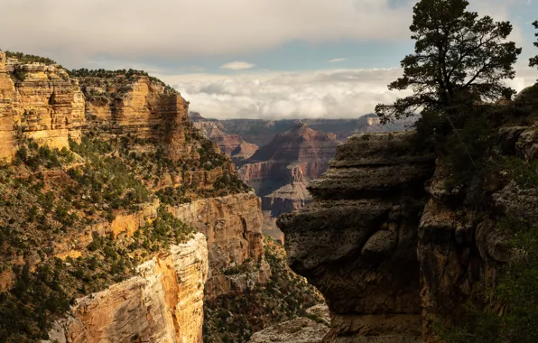 The sky, the sun, clouds, trees, stones, rocks, height, canyon