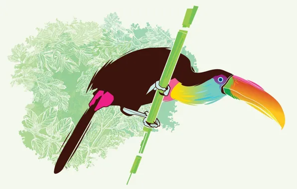 Picture color, bird, vector, Toucan