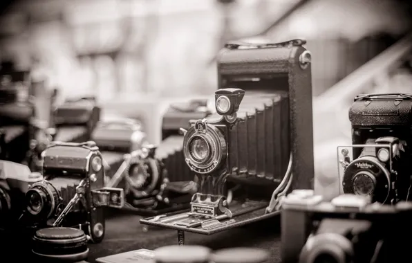 Retro, Vintage, cameras