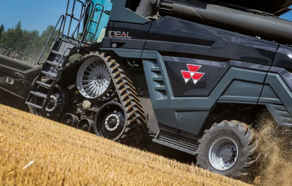 Dust, Wheel, Ladder, 2018, Massey Ferguson, Grain, Harvester, Massey Ferguson Ideal 9T