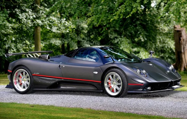 Road, grey, supercar, carbon, Pagani, the front, Probe, trees.background