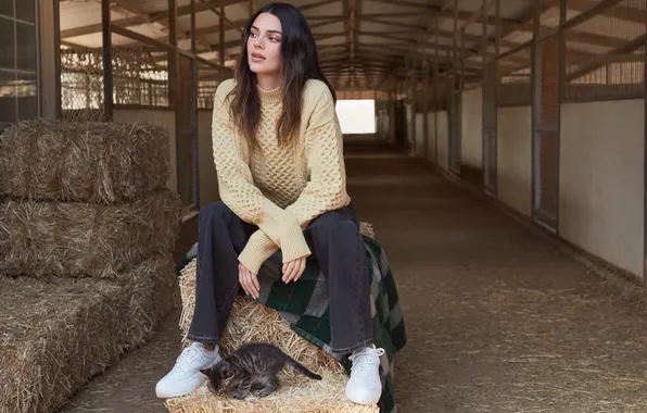 Picture long hair, model, women, brunette, cats, Kendall Jenner, sweater