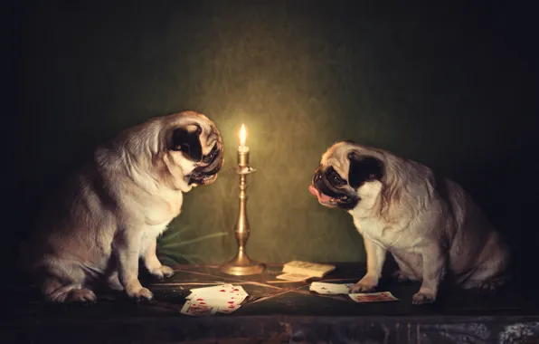 Dogs, card, candle holder, Pug, Natalia Ponikarova, english club