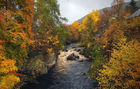 Picture the sky, trees, mountains, birds, house, river