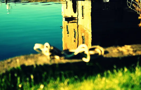 Grass, water, the sun, macro, reflection, the building, ruffle, blur