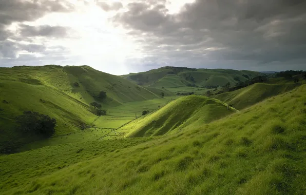 Greens, field, the sky, grass, hills, meadow