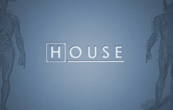 House, House, M.D., TV series
